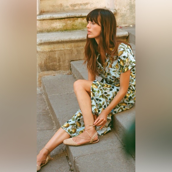 Zara Dresses & Skirts - Zara Fruit Print Midi Dress